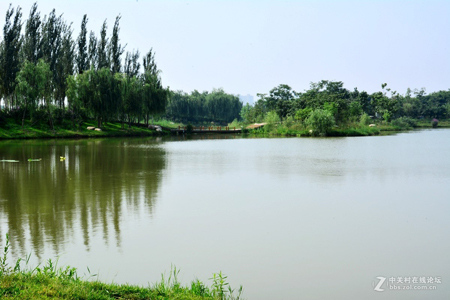 西安:浐灞生態(tài)國(guó)家濕地公園