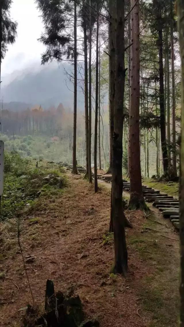 探討:風景園林的內涵與外延