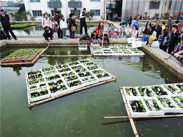 “漂浮農場”贏得深圳城市建筑雙年展獎項