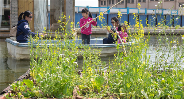 “漂浮農場”贏得深圳城市建筑雙年展獎項