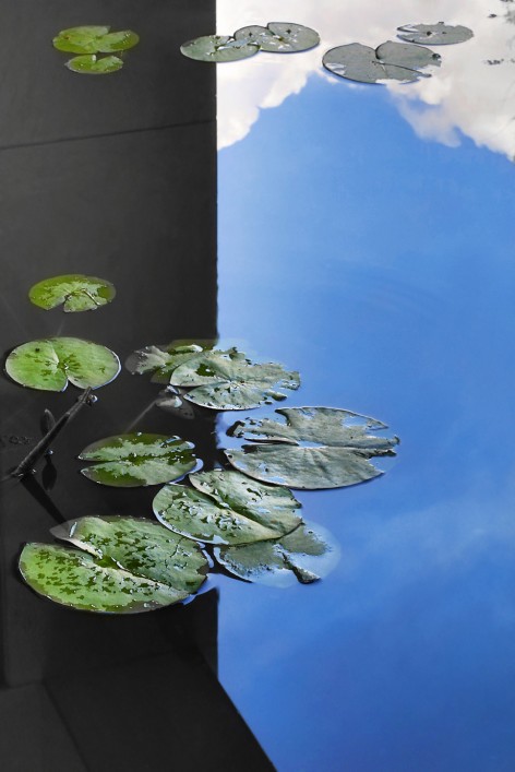 追尋最初的均衡－比利時住宅設計