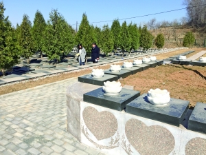 北京:公益生態墓園隱居桃花深處