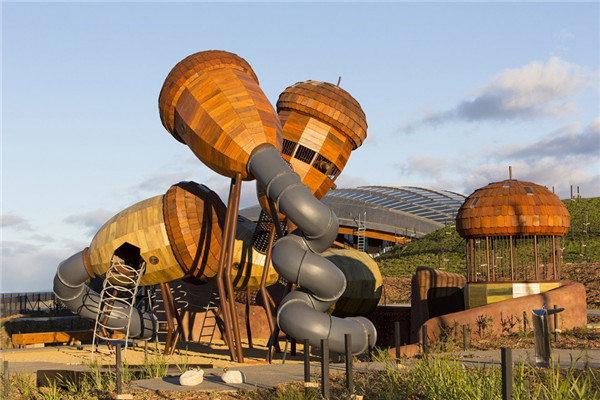 森林100 - 堪培拉國家植物園