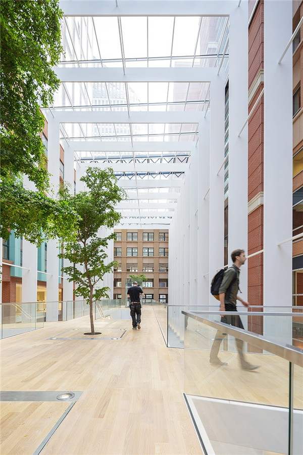 淡雅與明媚并置 ：荷蘭政府大樓改造設計