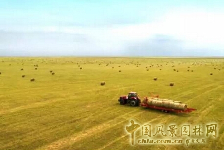 蒙草獲中國質量獎 成生態修復首家獲獎企業
