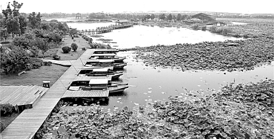 海綿城市 讓城市回歸自然