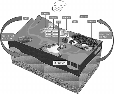 海綿城市 讓城市回歸自然