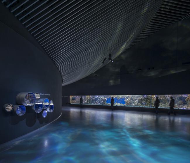 8個為動物而建的建筑設計項目