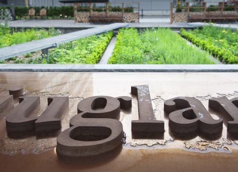 被隱藏的寶地 瑞士藥理花園