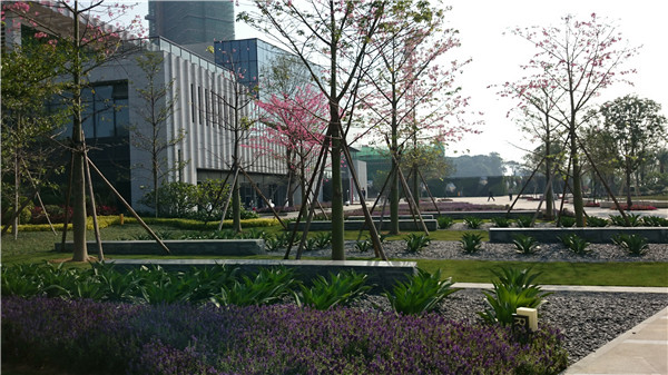 2015精品園林獎(jiǎng)設(shè)計(jì)類大獎(jiǎng)：富力·天海灣