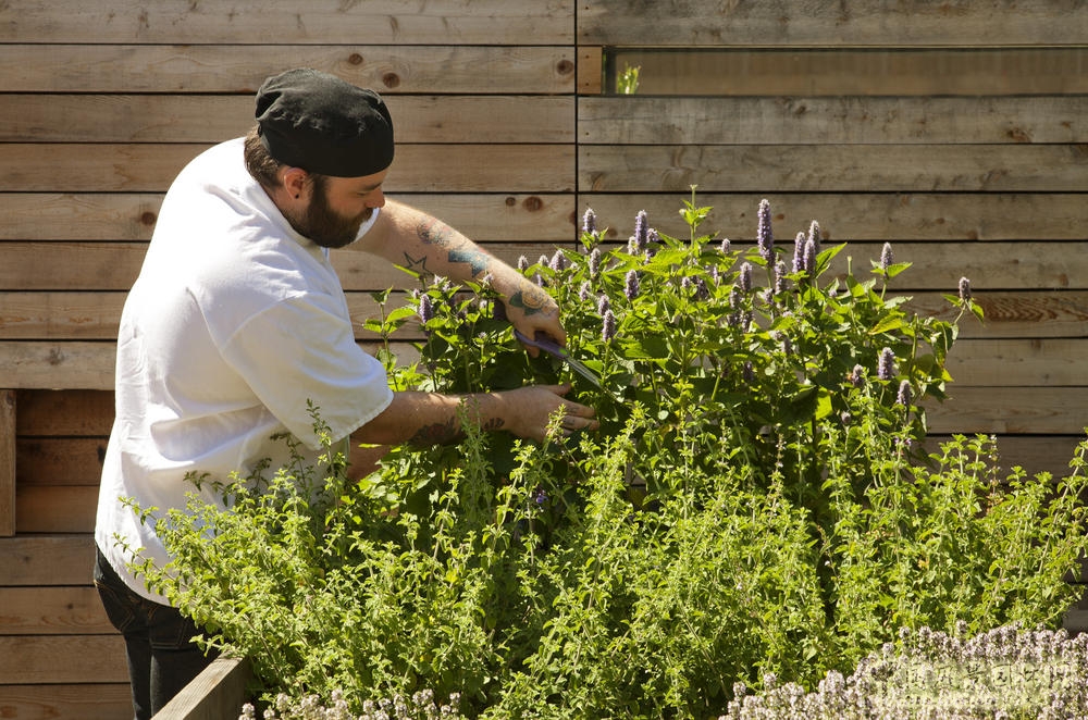 綠色建筑的代表——355 11th street