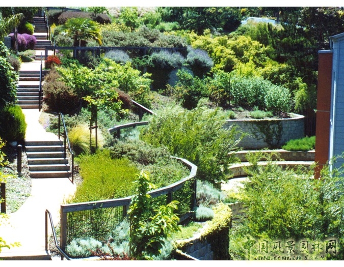 美國景觀大師杰弗里·米勒將出席園冶高峰論壇