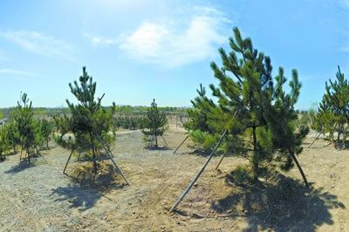 北京東北部最大濕地公園開建 預(yù)計3到5年內(nèi)建成