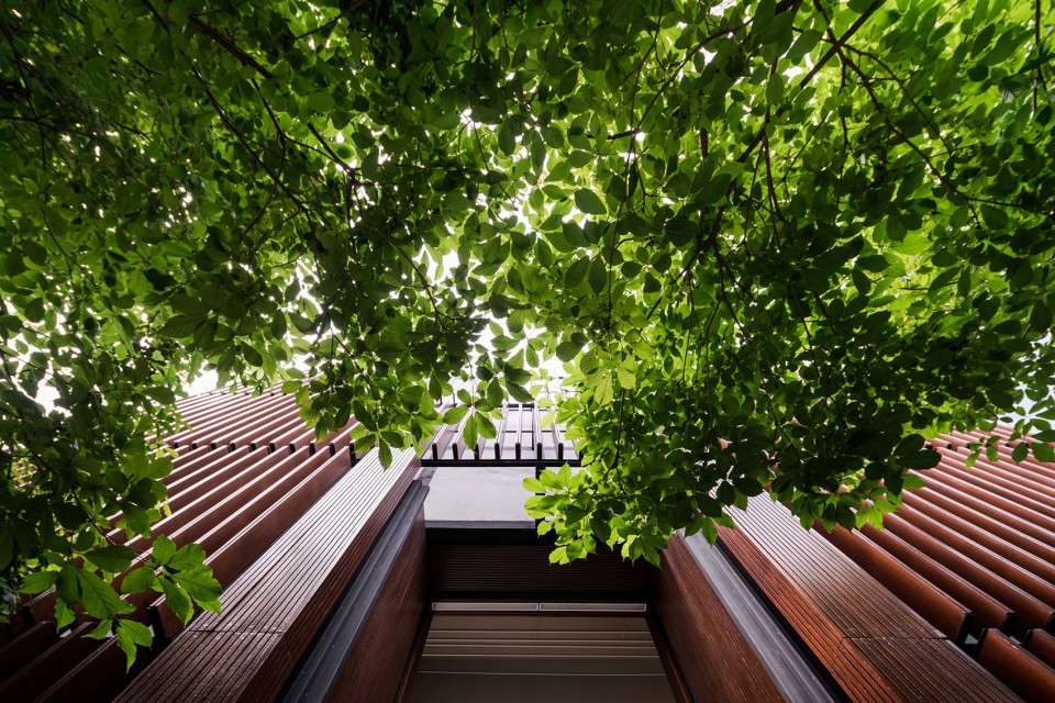 泰國:高速路旁的鄉土風格開放型城市公園