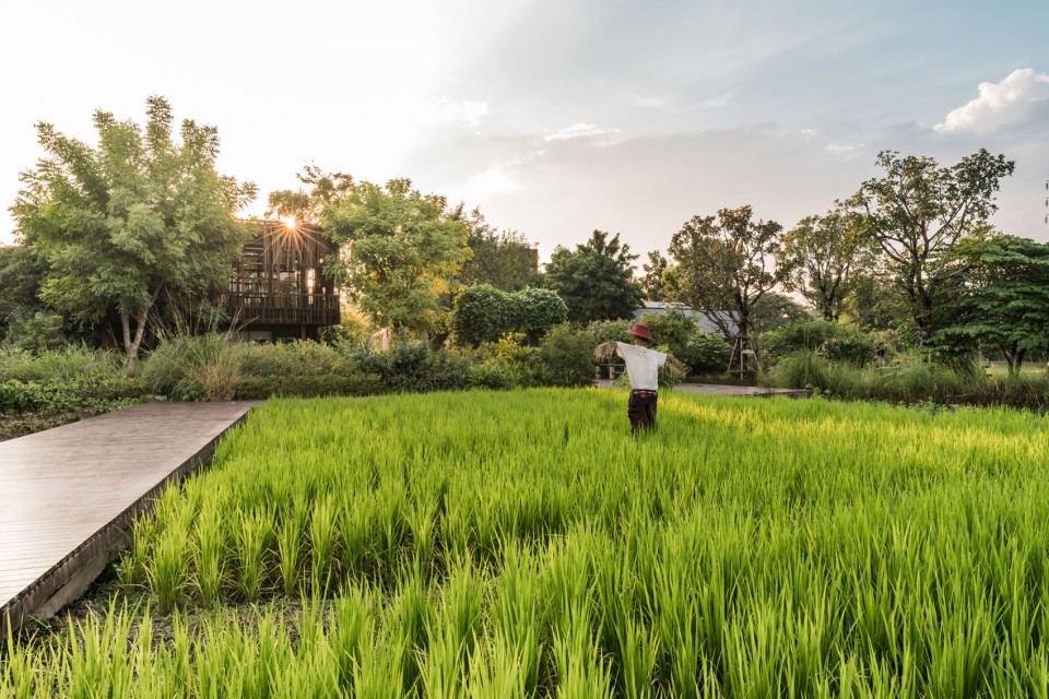 泰國:高速路旁的鄉(xiāng)土風(fēng)格開放型城市公園