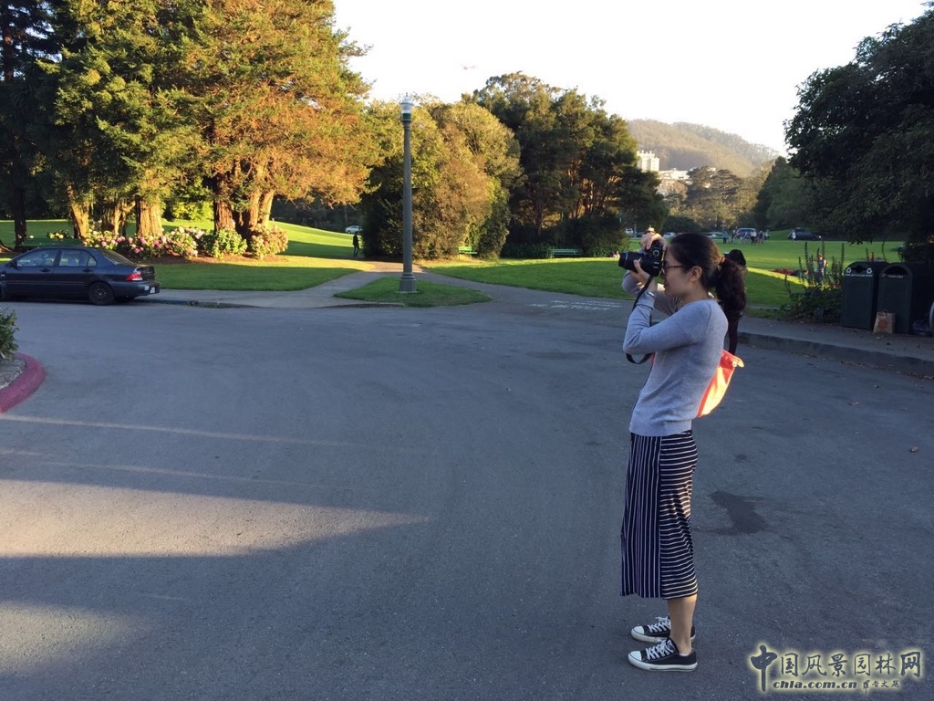 北京林業(yè)大學2016風景園林規(guī)劃設計論壇