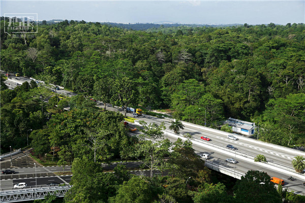 花園城市新加坡：鬧市區分布大片原始雨林