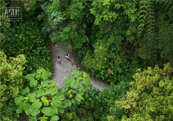 花園城市新加坡：鬧市區分布大片原始雨林