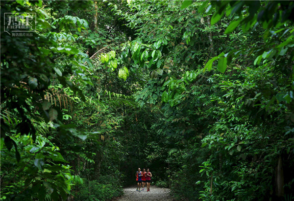 花園城市新加坡：鬧市區分布大片原始雨林