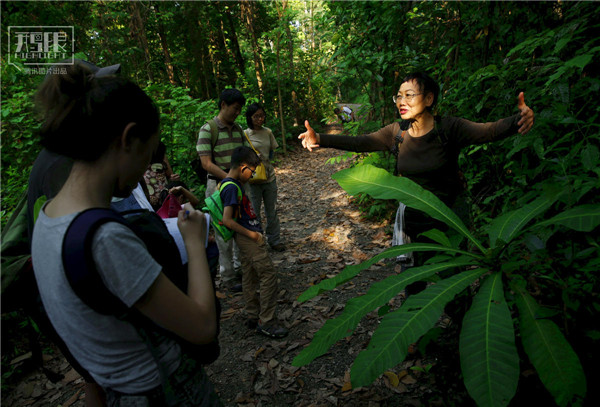 花園城市新加坡：鬧市區分布大片原始雨林
