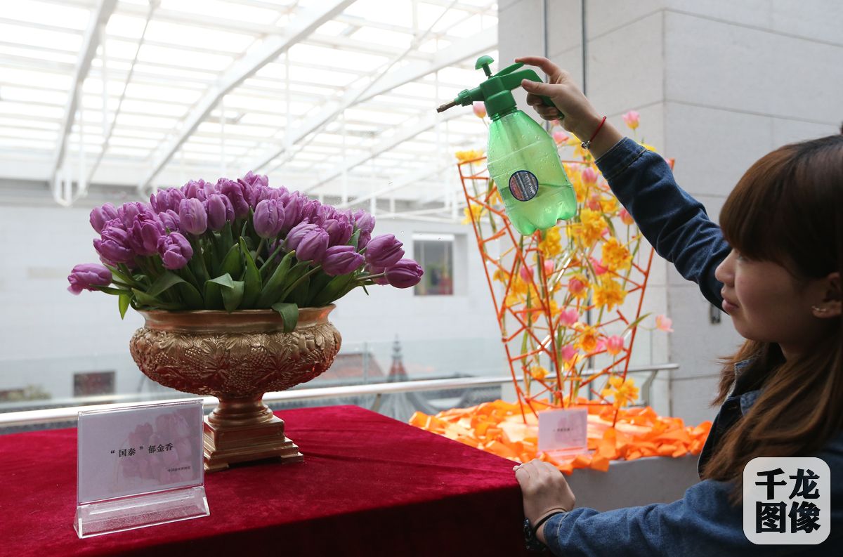 國泰郁金香首次亮相中國園林博物館