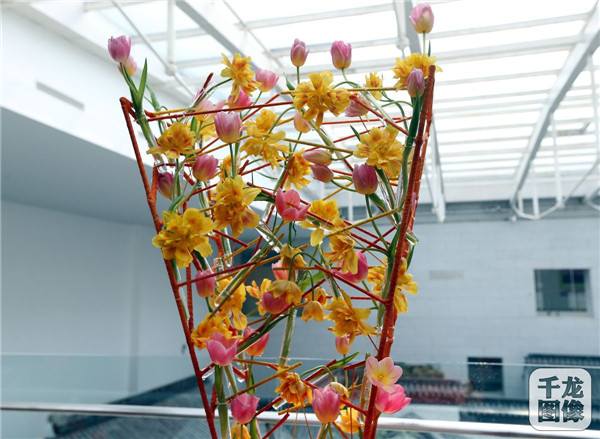 國泰郁金香首次亮相中國園林博物館