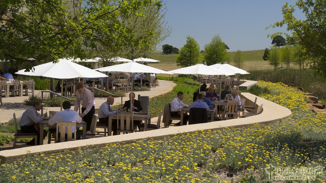 SWA經(jīng)典案例：德勤大學(xué)景觀設(shè)計(jì)