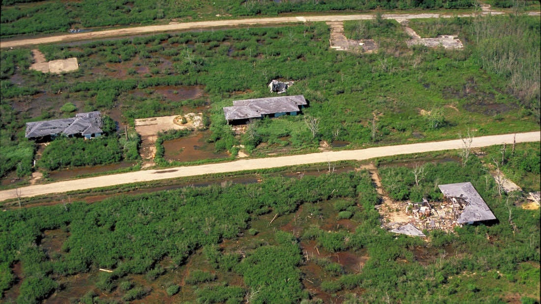 SWA經典案例：貝城自然中心濕地生態修復