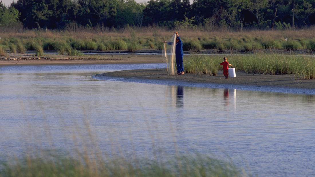 SWA經典案例：貝城自然中心濕地生態修復