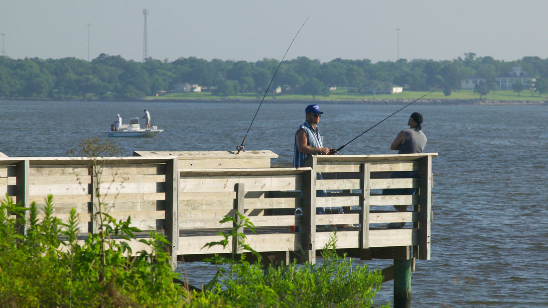 SWA經典案例：貝城自然中心濕地生態修復