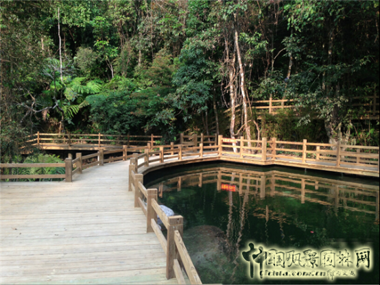 海南大山泰獲園冶杯國際優質工程金獎