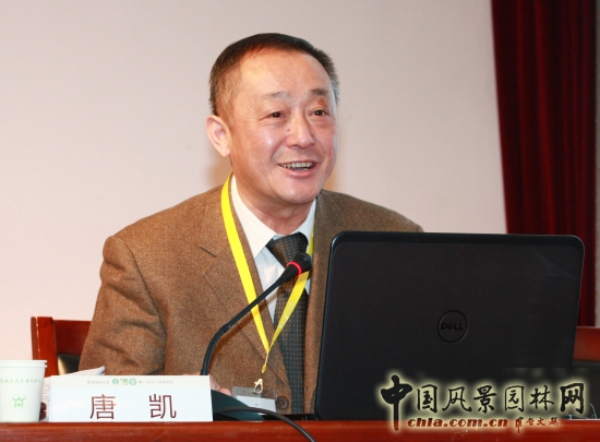 唐凱：提高城市發(fā)展的宜居性