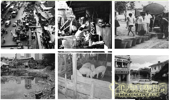 羅華端:新加坡宜居城市中心宜居度框架