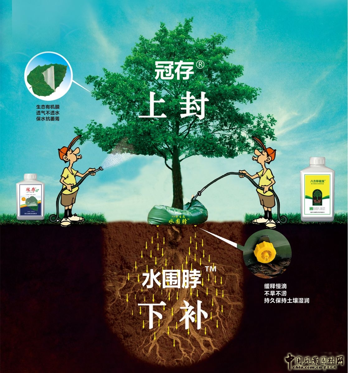 諾普信"樹木全冠移栽新技術"亮相高峰論壇