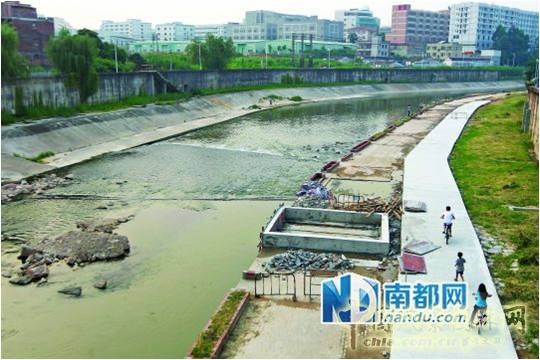 張一成：綠色城市核心理念及規劃設計重點