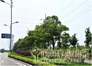 張一成：綠色城市核心理念及規劃設計重點
