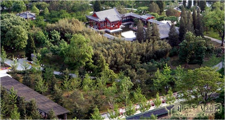 成玉寧：因地制宜的海綿城市理論與實踐