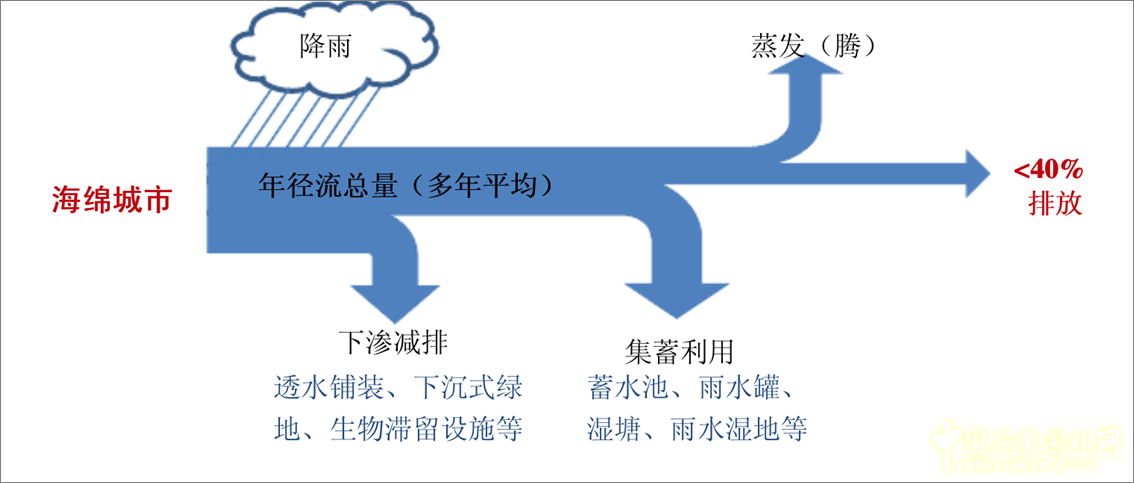 成玉寧：因地制宜的海綿城市理論與實踐