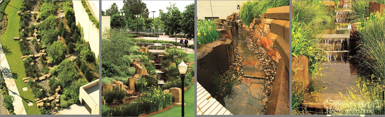 成玉寧：因地制宜的海綿城市理論與實踐