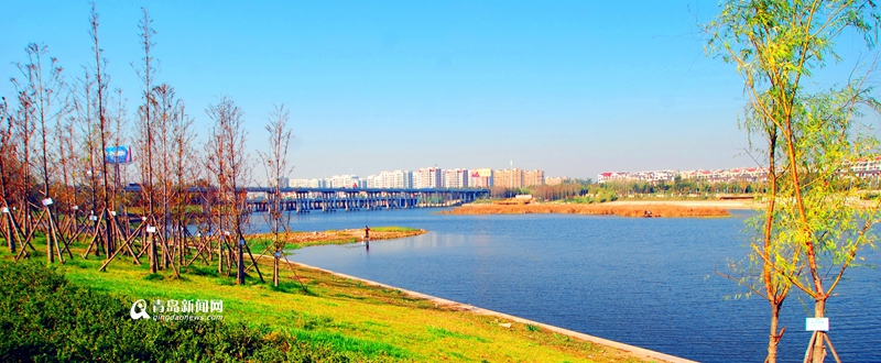 青島：白沙河治理基本完工