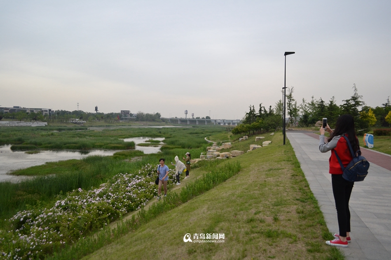 青島：白沙河治理基本完工