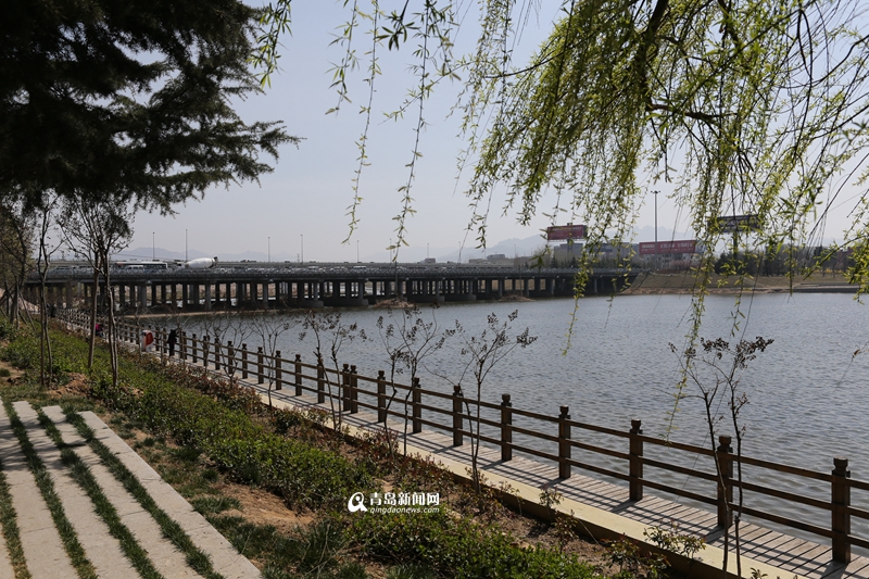 青島：白沙河治理基本完工