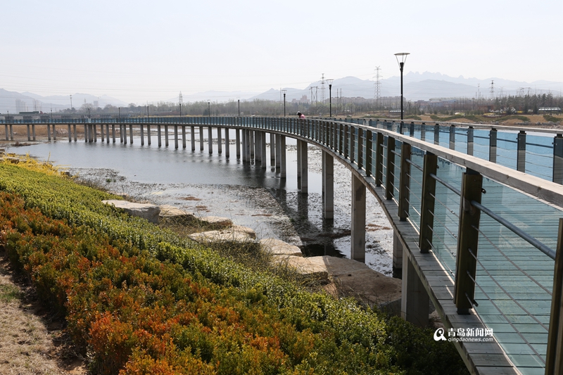 青島：白沙河治理基本完工