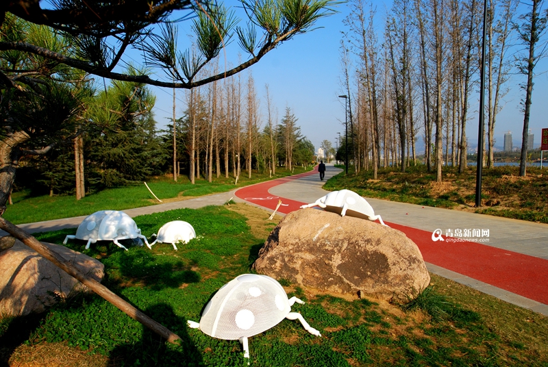 青島：白沙河治理基本完工