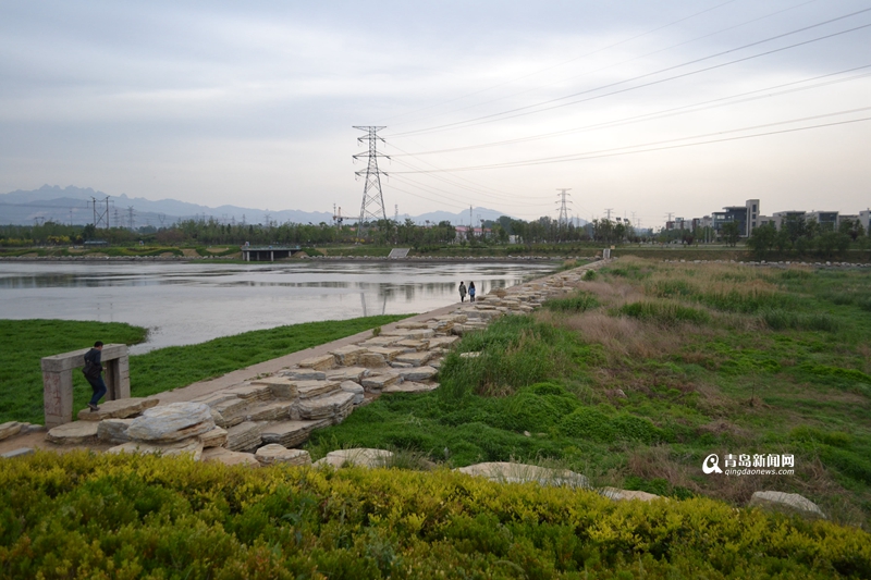 青島：白沙河治理基本完工