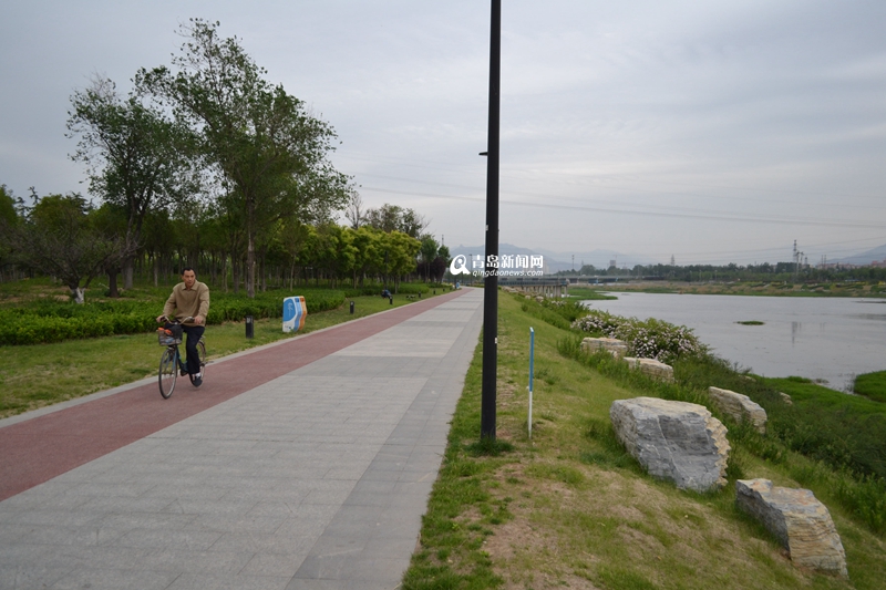 青島：白沙河治理基本完工