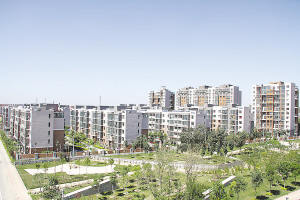 天津：張家窩鎮全力打造生態綠化