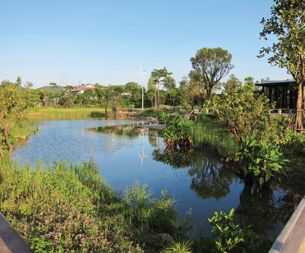 泰國:Ming Mongkol綠色公園