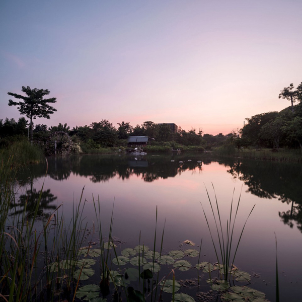 泰國:Ming Mongkol綠色公園