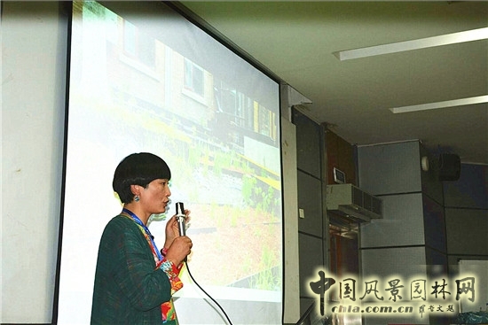 蒙小英:三低景觀下的雨水花園實踐